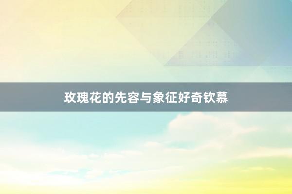 玫瑰花的先容与象征好奇钦慕