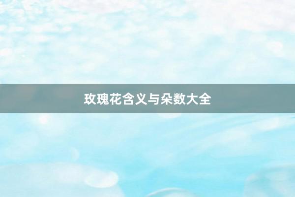 玫瑰花含义与朵数大全
