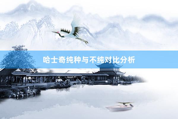 哈士奇纯种与不纯对比分析