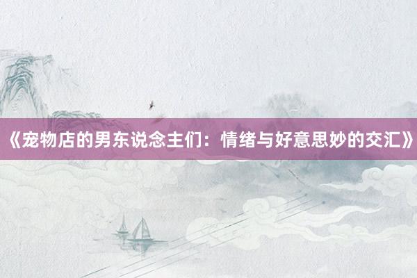 《宠物店的男东说念主们：情绪与好意思妙的交汇》